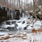 Frozen Head State Park 