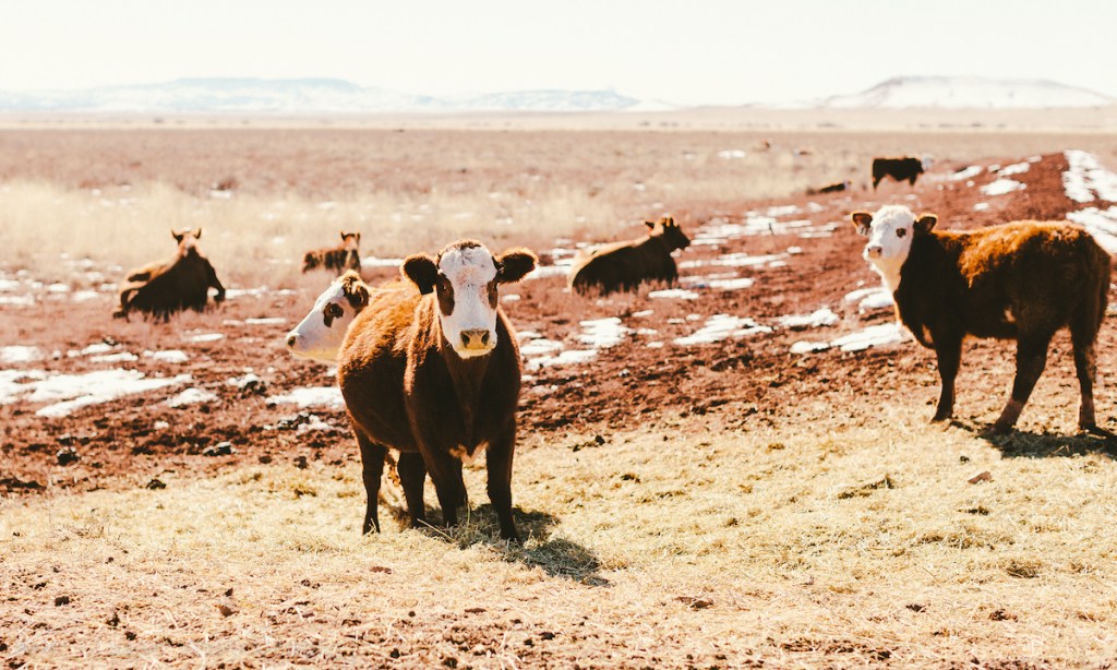 Photo taken in New Mexico, United States