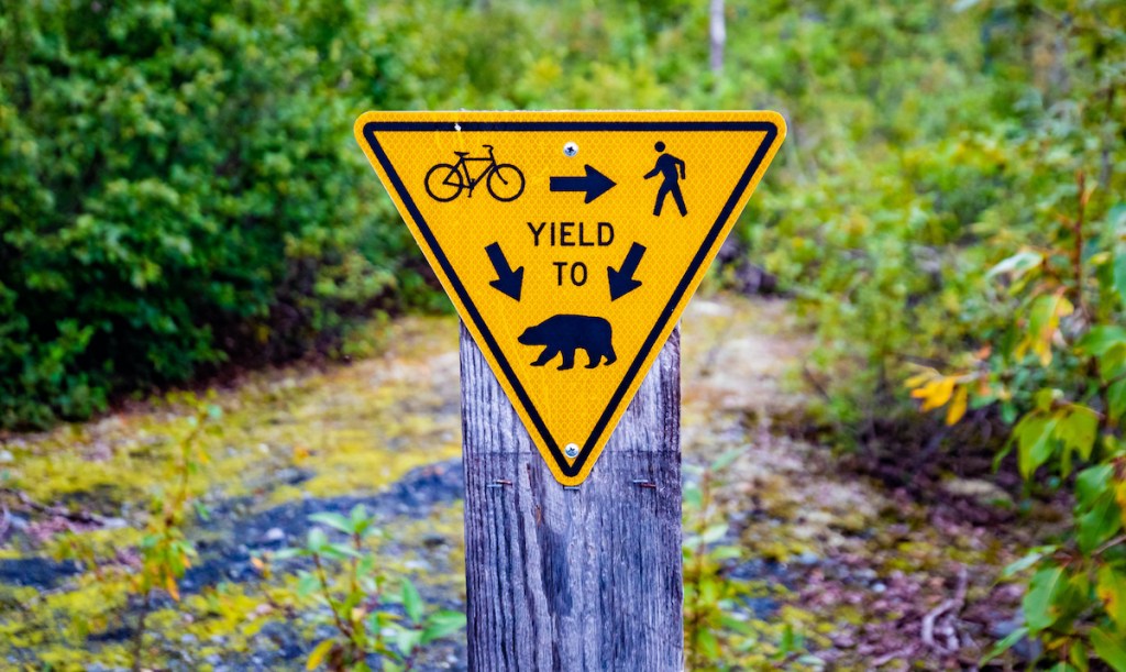 Fun yield to bears sign warning on trail in Alaska