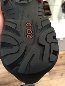 Ecco Biom Terrain Hiking Boot