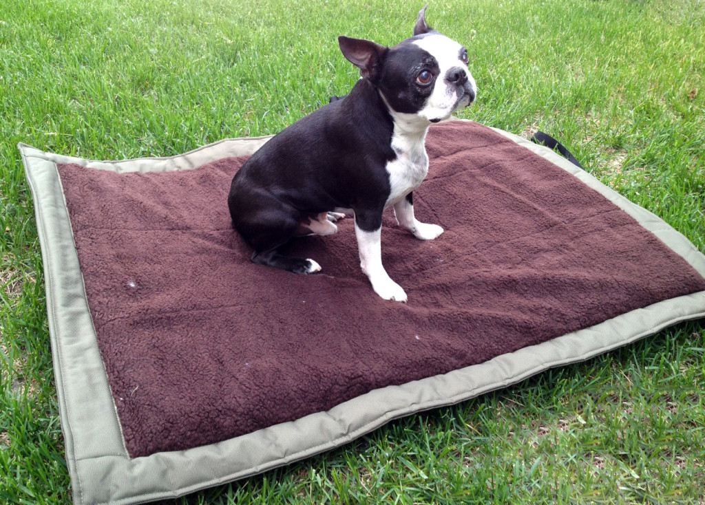 lightspeed outdoors traveling dog bed