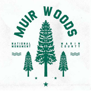 Parks_Project_Muir_Woods
