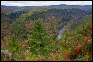 Fall Foliage