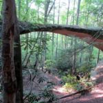 Pickett CCC Memorial State Park 