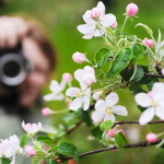 Outdoor Activities: Plant Collecting