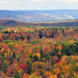 Porcupine Mountains Wilderness State Park, Michigan