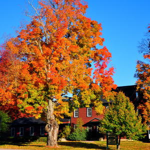 Portland, Maine