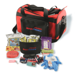Camping Gear For Dogs: First Aid Kits
