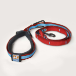 Camping Gear For Dogs: Leashes
