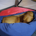 Camping Gear For Dogs: Sleeping Bags