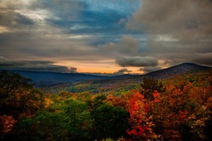 Fall Foliage