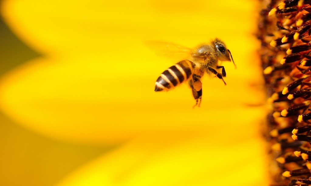boris-smokrovic-gr7ZkoZnHXU-unsplash
