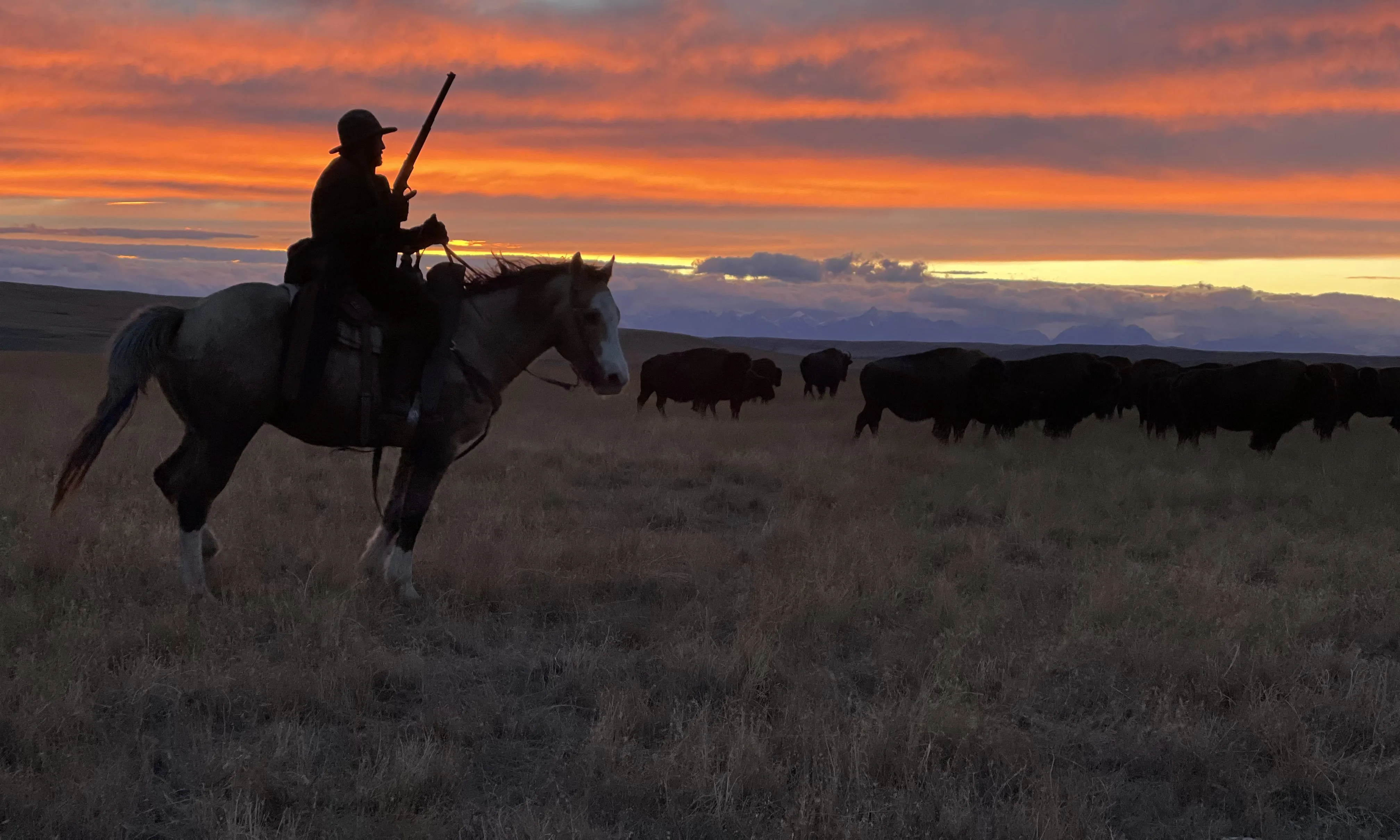 As seen on YELLOWSTONE, beautiful - Western Horseman