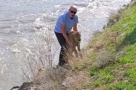 yellowstone man