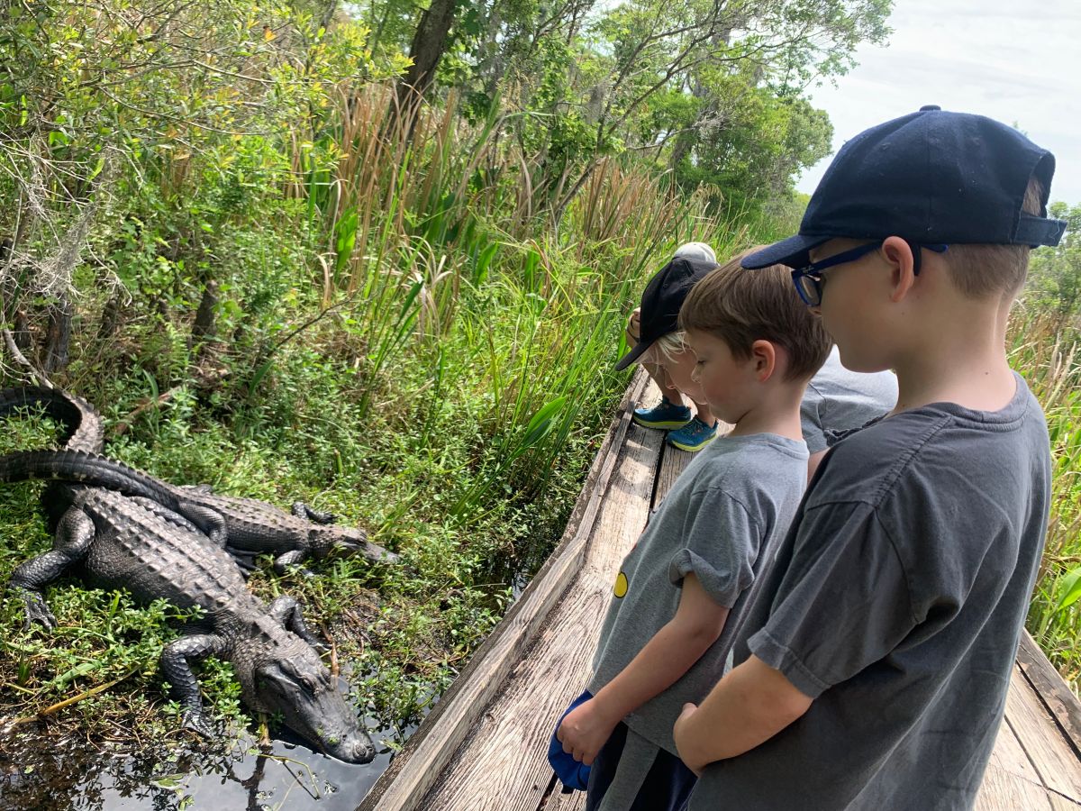 barataria preserve road trip