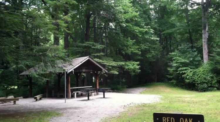 Black Mountain Campground