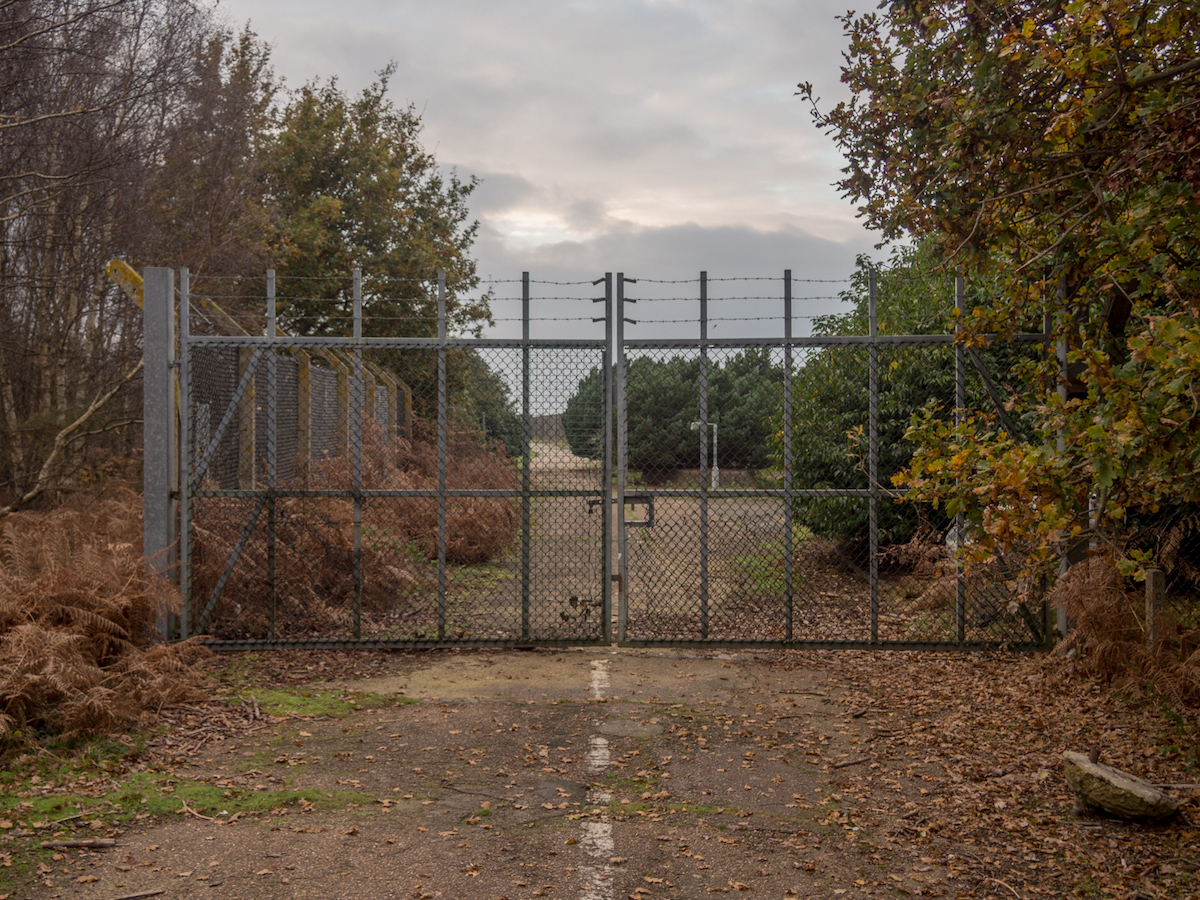 Rendlesham Forest