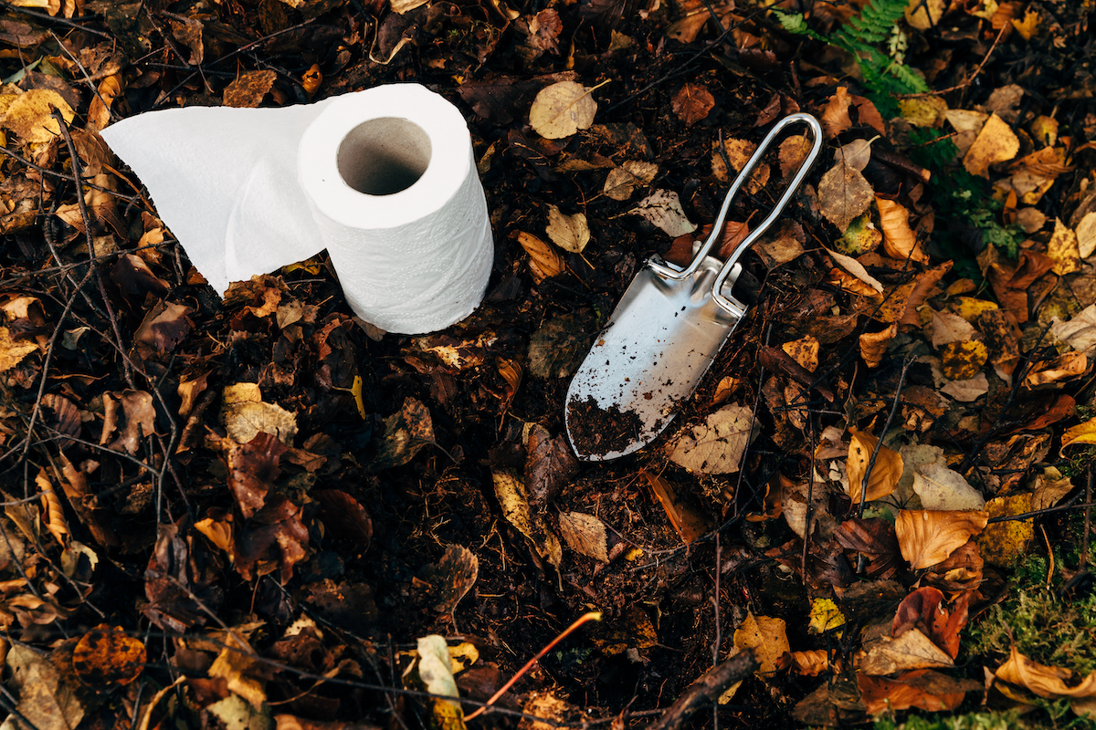 Ecologically friendly Poop in the Woods series