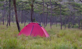 barbie-camping-gear