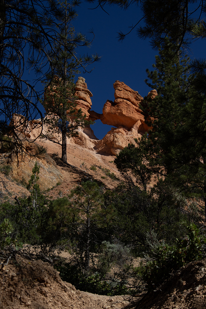 bryce-canyon-centennial-celebration