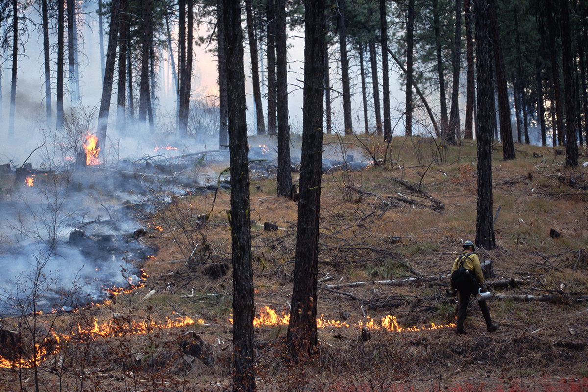 stay-safe-near-prescribed-burns