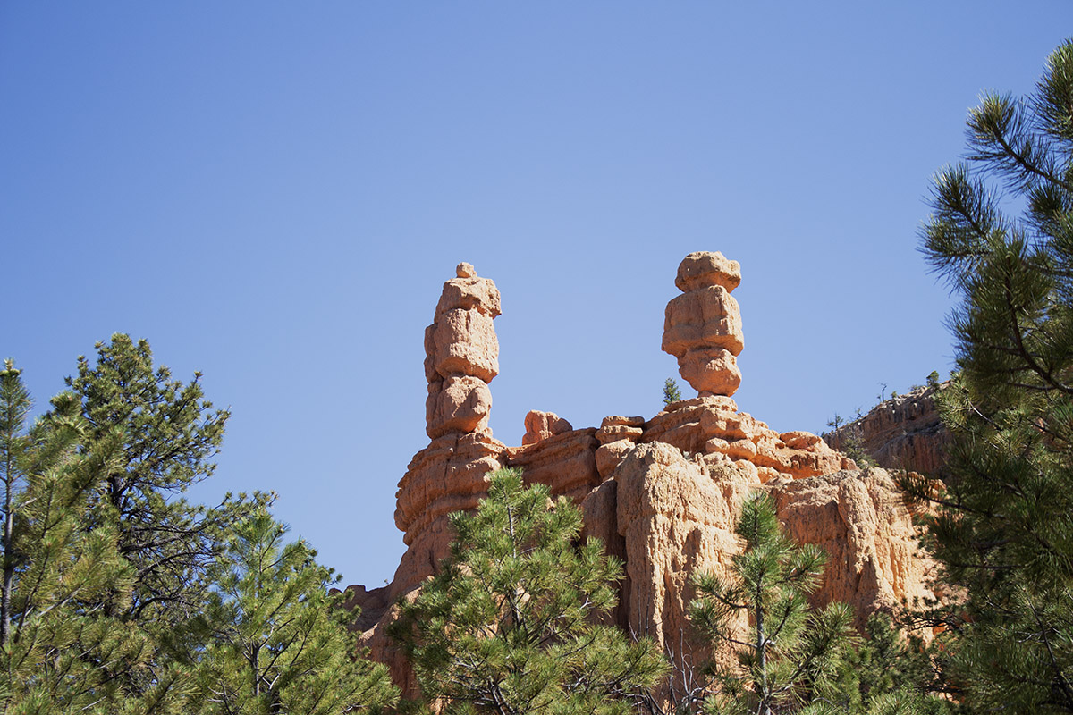 why-you-should-visit-red-canyon-dixie-national-forest