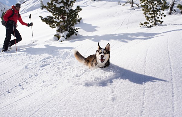 avalanche risks