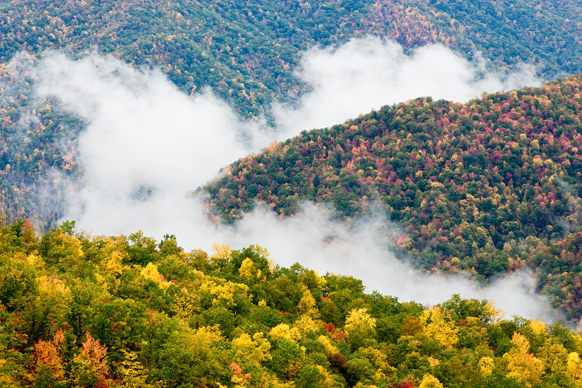 facts-about-great-smoky-mountains