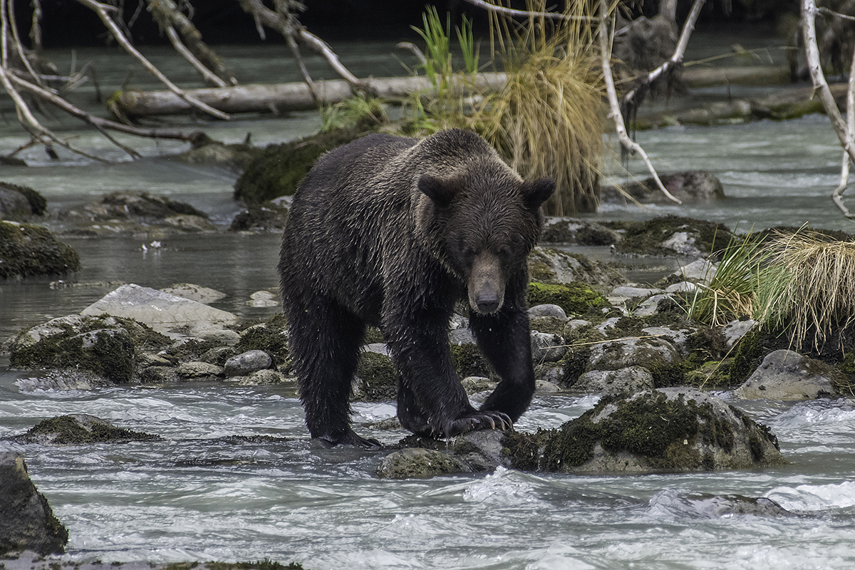 things-you-didnt-know-about-alaska