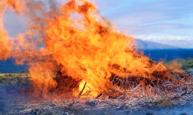 what-caused-the-maui-fires