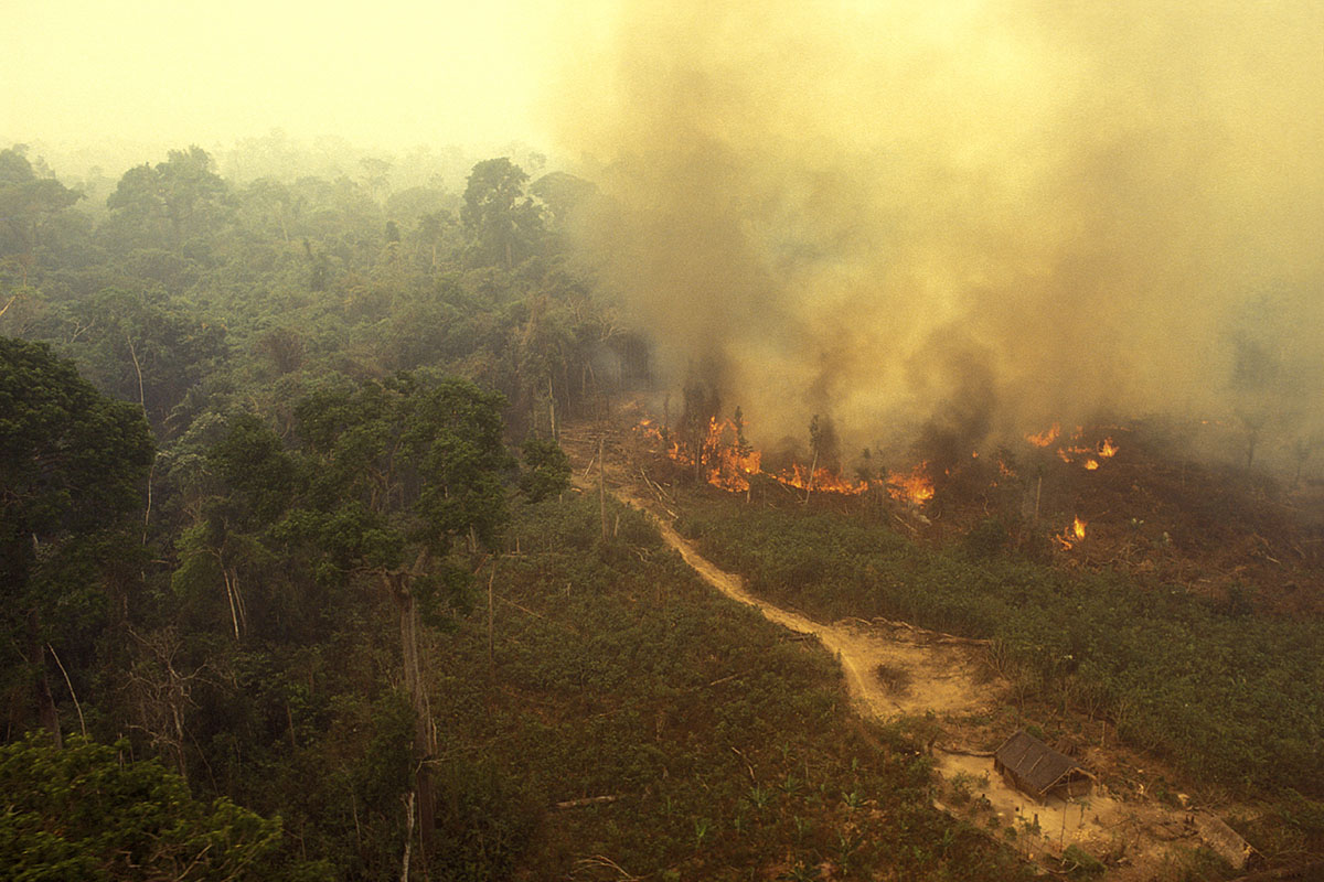 worst-wildfires-this-decade