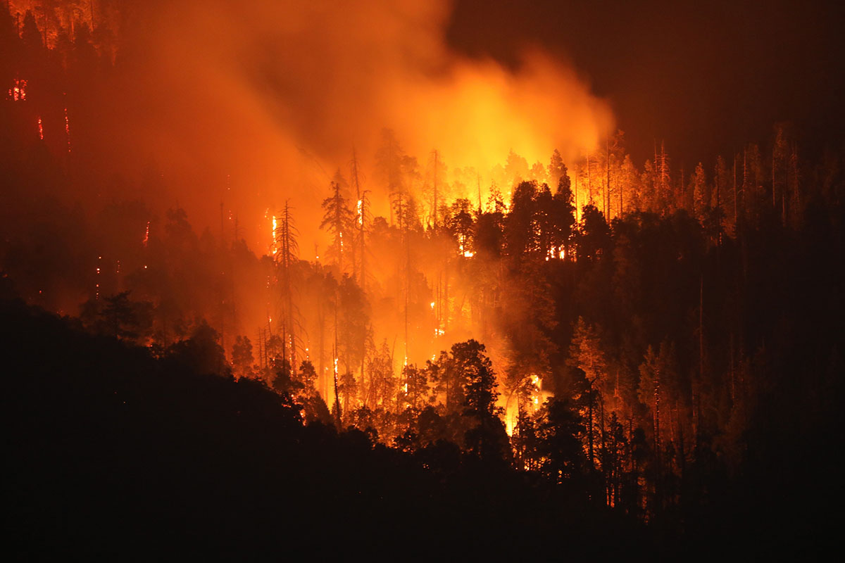 worst-wildfires-this-decade