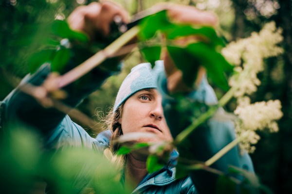 Low angle view of women cutting elderflower off branch while foraging in forest