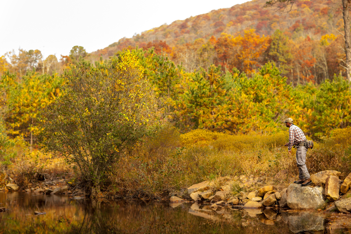 Shenandoah fishing restrictions