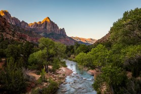 The Watchman at Sunrise, Zion National Park