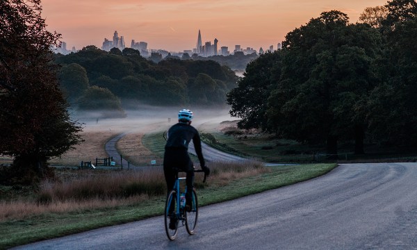 bike-gear-to-elevate-fall-rides