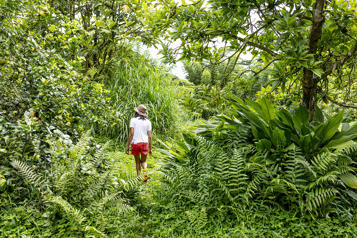 can-i-go-to-hawaii-ethically