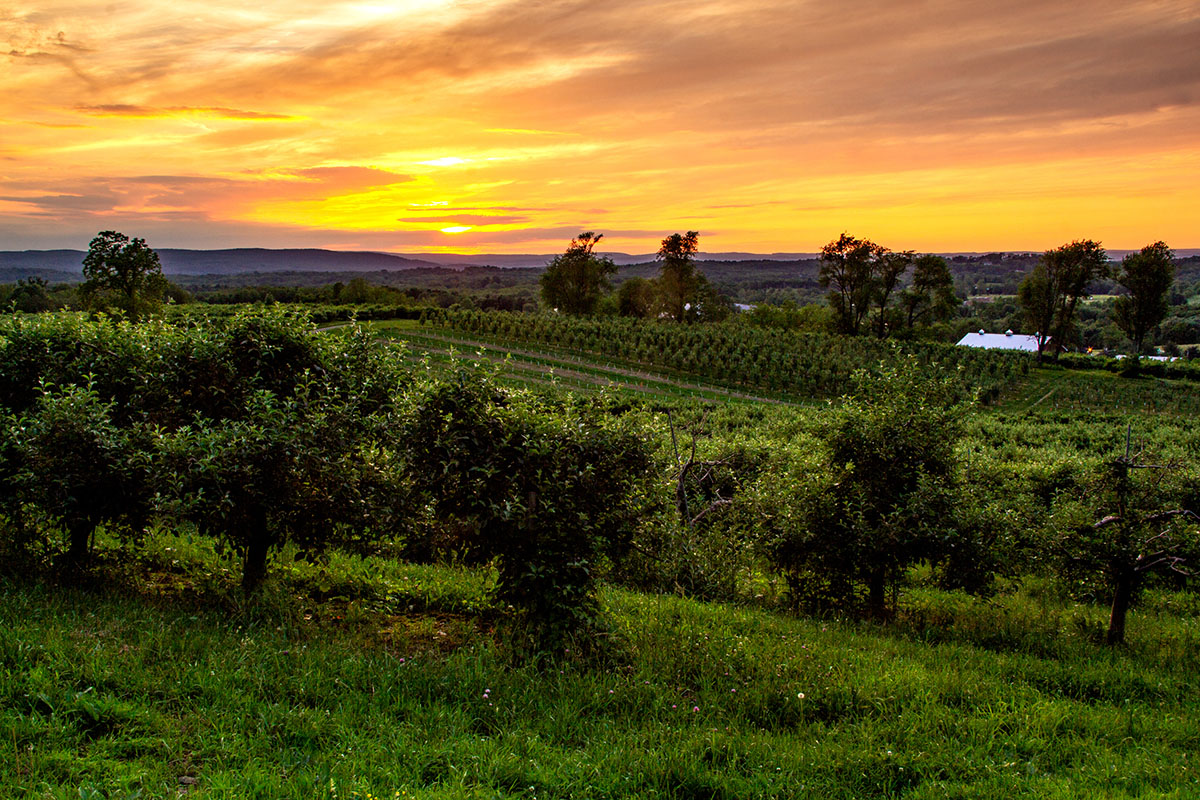 dont-miss-these-unique-towns-along-the-appalachian-trail