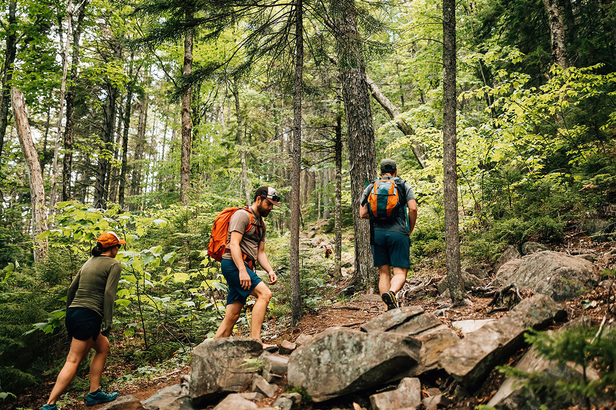 dont-miss-these-unique-towns-along-the-appalachian-trail