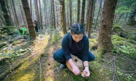 essential-foraging-tools