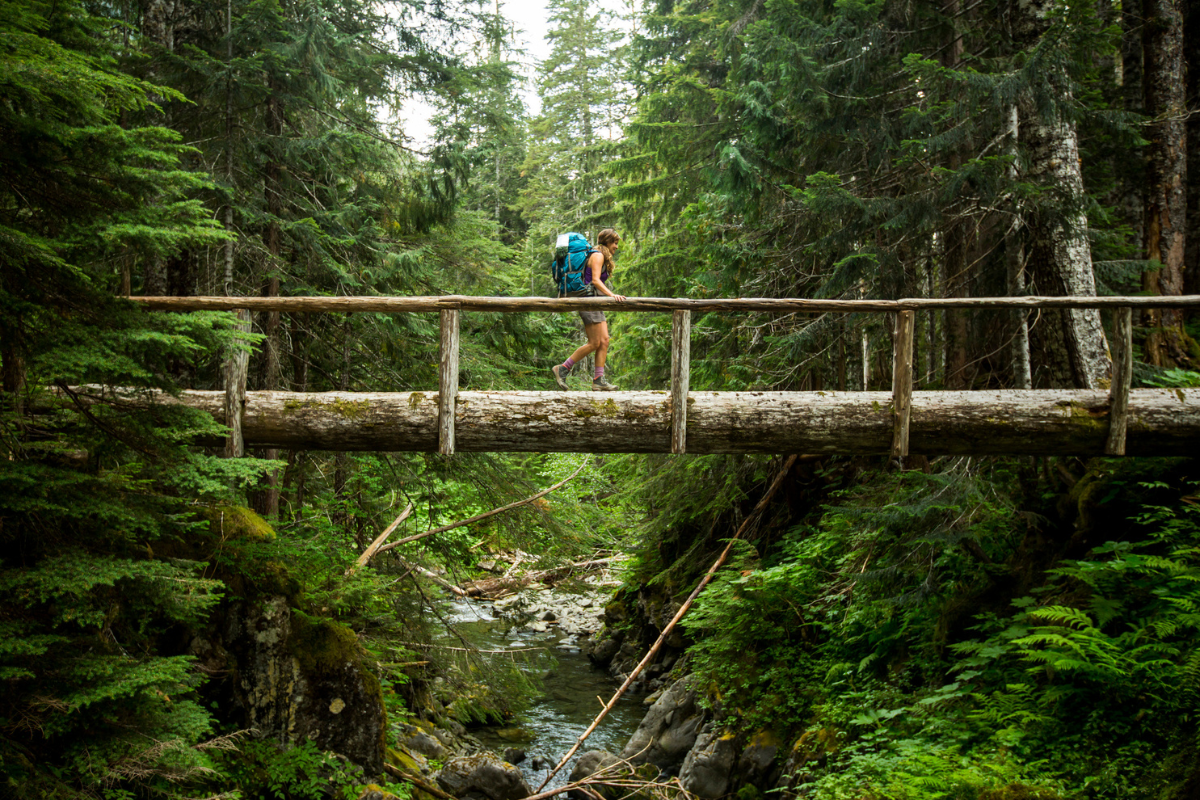 olympic national park facts