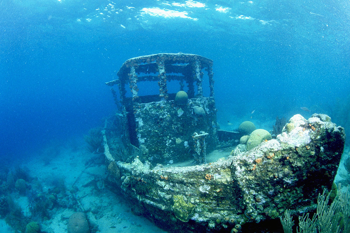 things-you-didnt-know-about-dry-tortugas-national-park