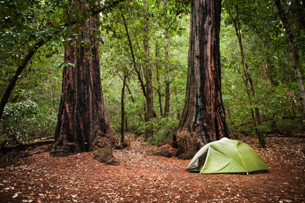 california camping law