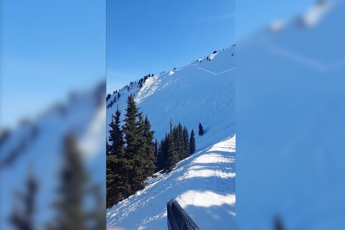 avalanche video