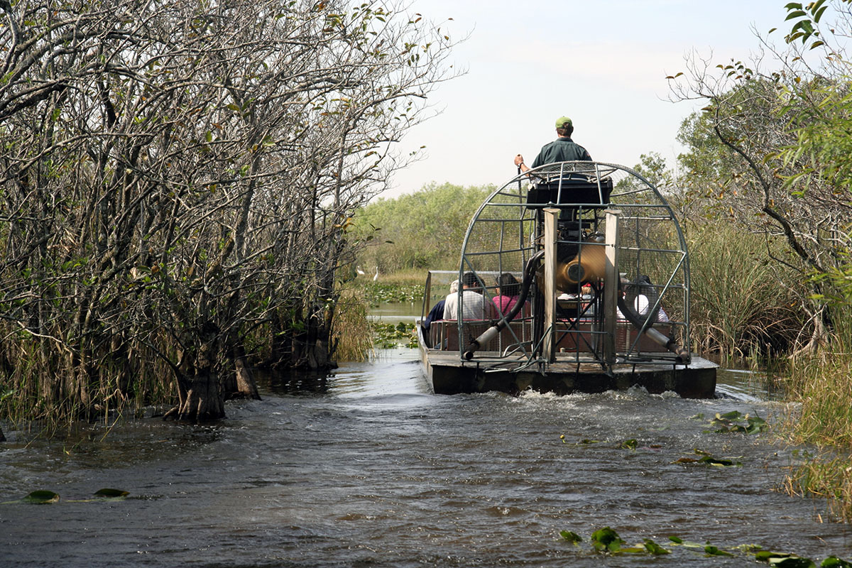 cool-things-to-see-in-Everglades-National-Park