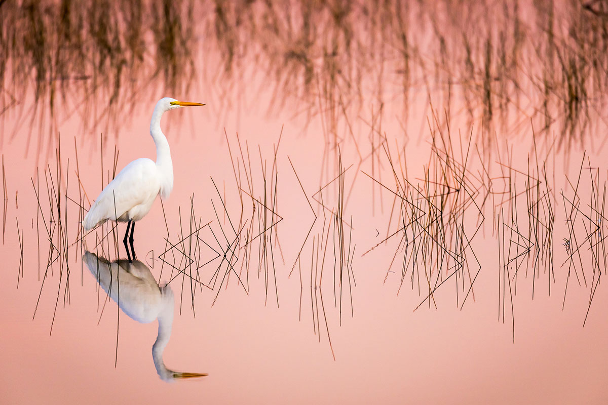 cool-things-to-see-in-Everglades-National-Park