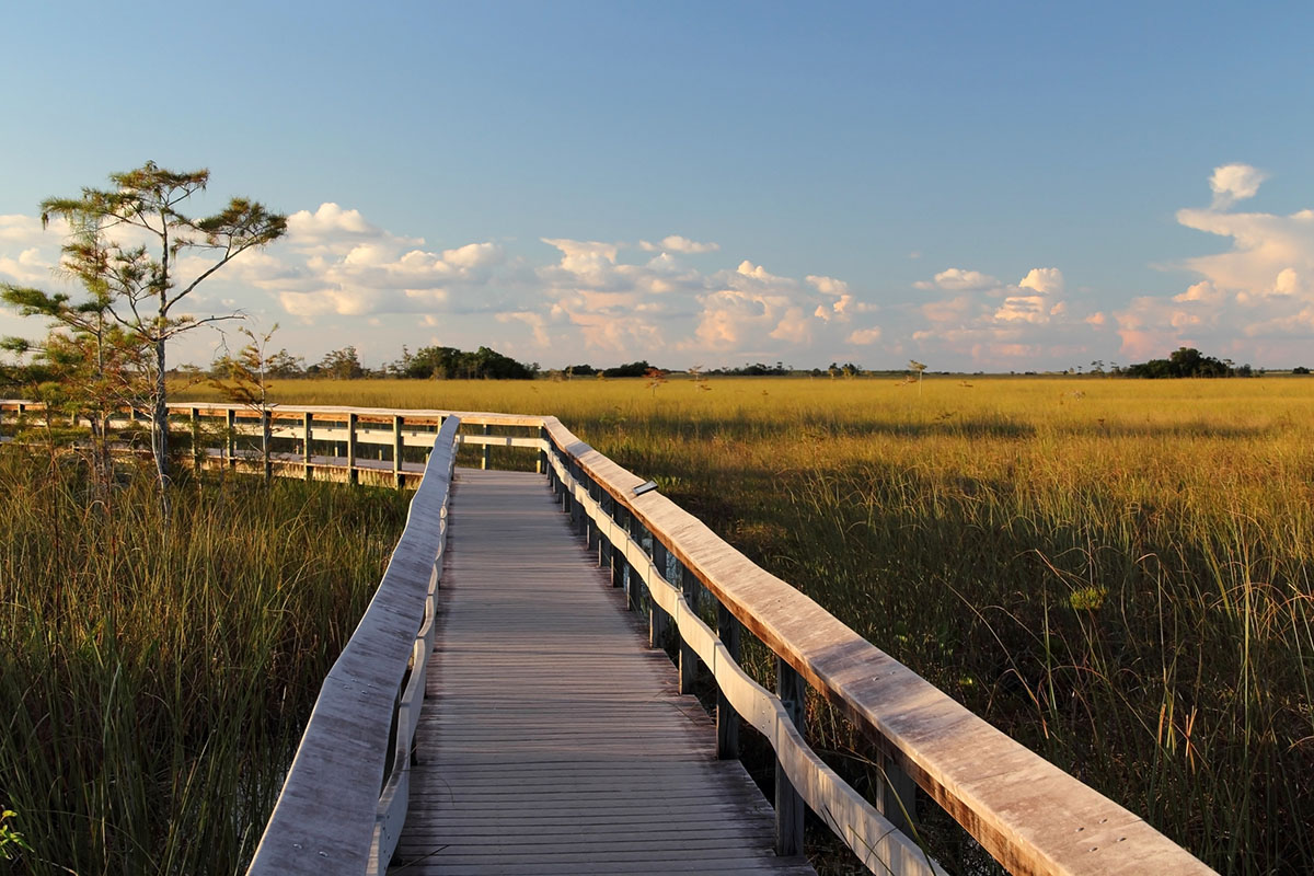 cool-things-to-see-in-Everglades-National-Park