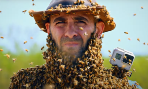 coyote-peterson-on-his-wild-career