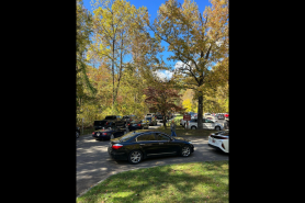 Fall foliage in the Smokies