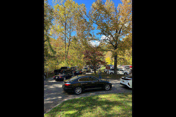 Fall foliage in the Smokies